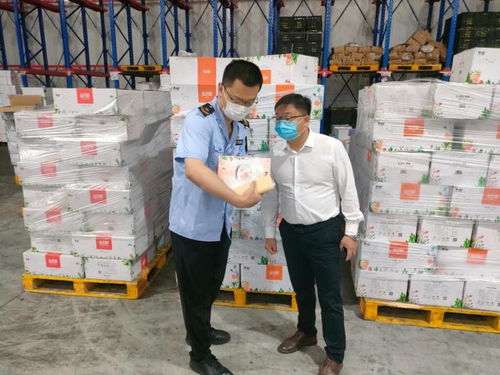 疫情反復防控升級 城陽區落實落細市場領域各項防控措施 安全技術防范